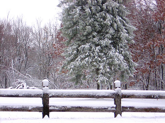 小雪+寒潮，禽畜水產(chǎn)如何應(yīng)對？