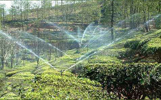 土壤墑情自動(dòng)監(jiān)測(cè)站茶園灌溉中能發(fā)揮什么作用？